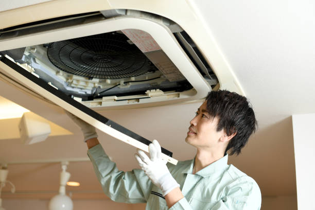 Best Home Air Vent Cleaning  in Port Orange, FL